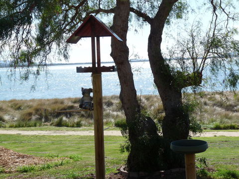 Swansea Motor Inn Tasmania - Accommodation Brisbane 20