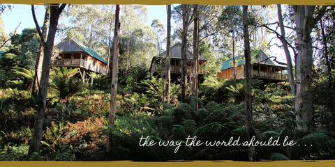 Lemonthyme Wilderness Retreat - Accommodation Brisbane 20