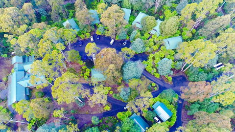 Lemonthyme Wilderness Retreat - Accommodation Brisbane 1