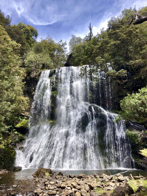 Lemonthyme Wilderness Retreat - Accommodation Brisbane 9