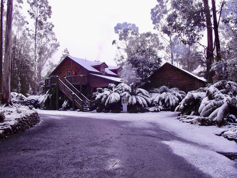 Lemonthyme Wilderness Retreat - Accommodation Brisbane 12