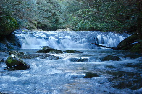 Lemonthyme Wilderness Retreat - Accommodation Brisbane 10
