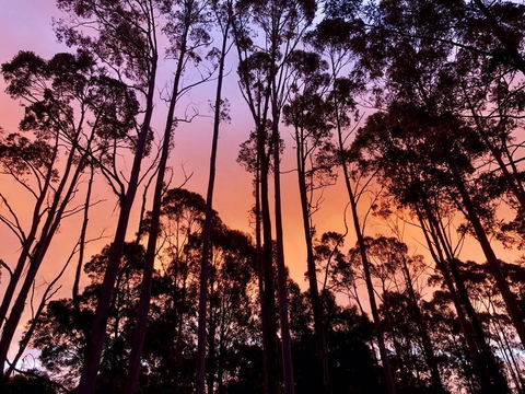 Lemonthyme Wilderness Retreat - Accommodation Brisbane 8