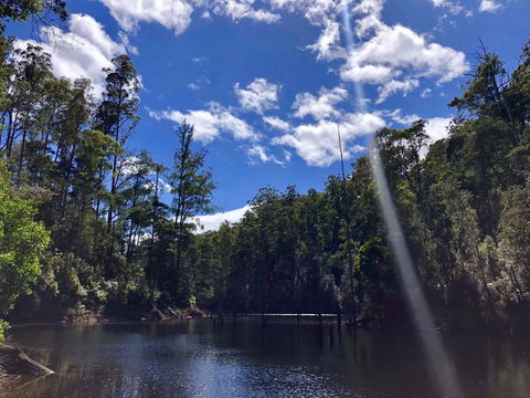 Lemonthyme Wilderness Retreat - Accommodation Brisbane 7