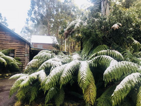 Lemonthyme Wilderness Retreat - Accommodation Brisbane 5