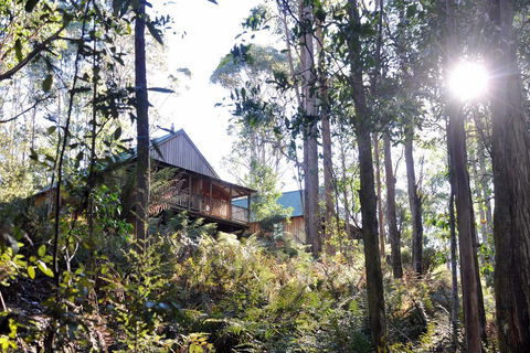 Lemonthyme Wilderness Retreat - Accommodation Brisbane 25