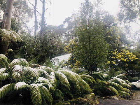 Lemonthyme Wilderness Retreat - Accommodation Brisbane 16