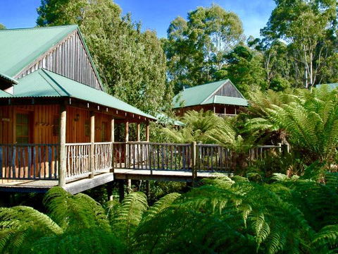 Lemonthyme Wilderness Retreat - Accommodation Brisbane 11