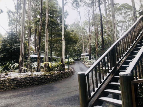 Lemonthyme Wilderness Retreat - Accommodation Brisbane 15