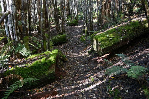 Lemonthyme Wilderness Retreat - Accommodation Brisbane 22