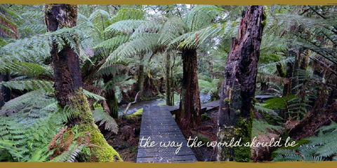 Lemonthyme Wilderness Retreat - Accommodation Brisbane 17