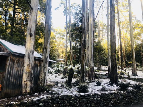 Lemonthyme Wilderness Retreat - Accommodation Brisbane 6