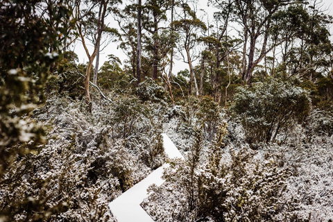 Cradle Mountain Hotel - Accommodation Brisbane 6