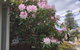 Studio SixA ... A Haven In The Heart Of Hobart - thumb 19