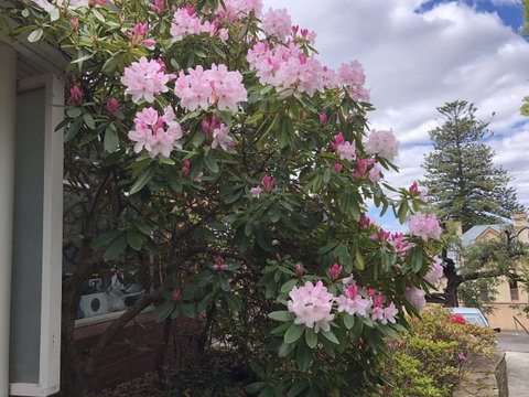Studio SixA ... A Haven In The Heart Of Hobart - Accommodation Brisbane 19
