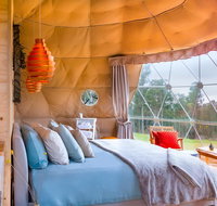 Domescapes in the Vines - Accommodation Brisbane