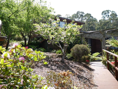 Osprey Lodge & Bungalow - Accommodation Brisbane 20