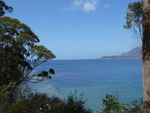 Osprey Lodge & Bungalow - Accommodation Brisbane 3