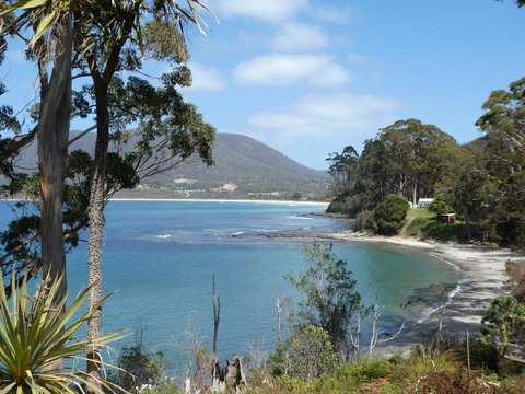 Osprey Lodge & Bungalow - Accommodation Brisbane 4