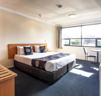 Black Buffalo - Accommodation Brisbane