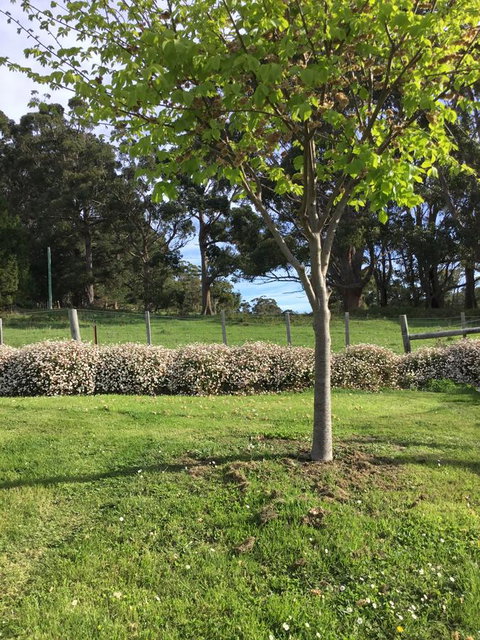 Nextdoor@portarthur - Accommodation Brisbane 17
