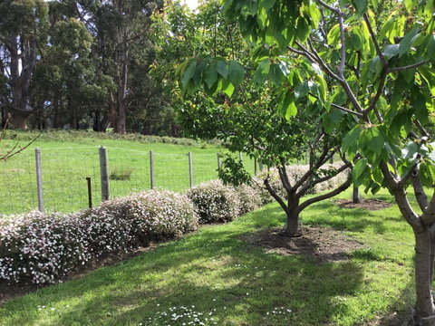 Nextdoor@portarthur - Accommodation Brisbane 18