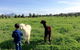 Taras Richmond Farmstay - thumb 0