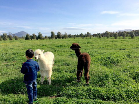 Taras Richmond Farmstay - Accommodation Brisbane 0