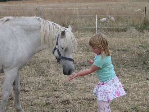 Taras Richmond Farmstay - Accommodation Brisbane 19
