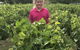 Taras Richmond Farmstay - thumb 11