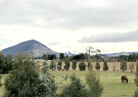 Taras Richmond Farmstay - Accommodation Brisbane 1