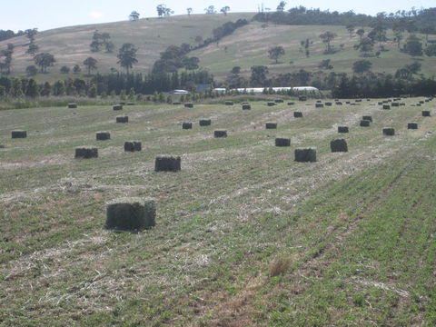 Taras Richmond Farmstay - Accommodation Brisbane 18