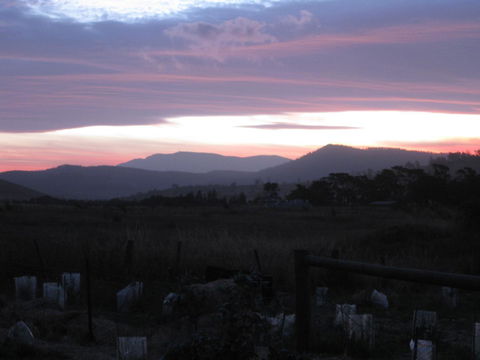 Taras Richmond Farmstay - Accommodation Brisbane 22