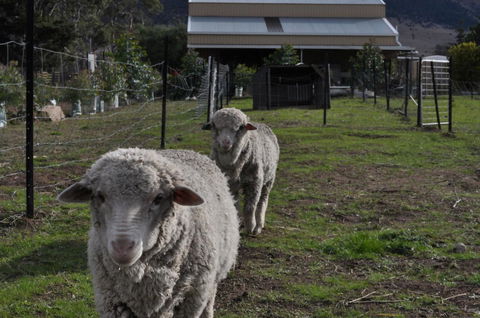 Taras Richmond Farmstay - Accommodation Brisbane 14