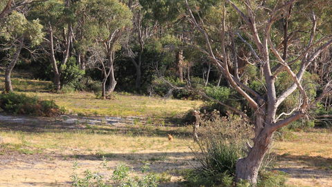 BAY OF FIRES SEACHANGE Ocean Frontage - Accommodation Brisbane 12