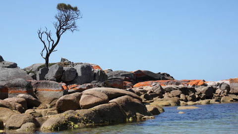 BAY OF FIRES SEACHANGE Ocean Frontage - Accommodation Brisbane 21