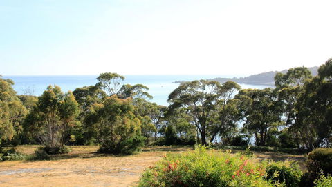 BAY OF FIRES SEACHANGE Ocean Frontage - Accommodation Brisbane 16