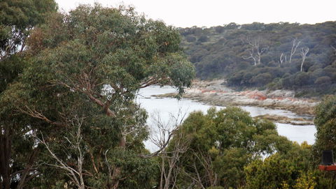 BAY OF FIRES SEACHANGE Ocean Frontage - Accommodation Brisbane 15