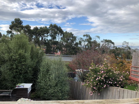 Little Mountain Town - Accommodation Brisbane 4