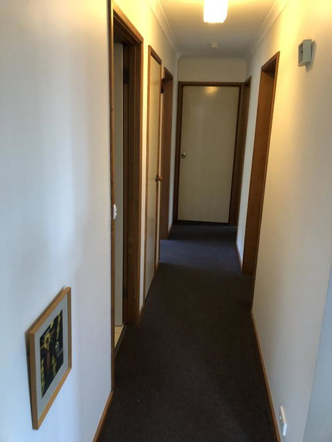 Little Mountain Town - Accommodation Brisbane 10