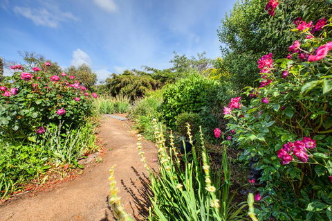 Wagners Cottages - Accommodation Brisbane 30