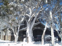 Book Dinner Plain Accommodation Vacations Accommodation Brisbane Accommodation Brisbane