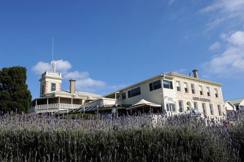 Hotel Sorrento - Accommodation Brisbane 30