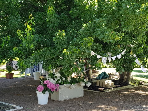 The Cottage - Accommodation Brisbane 30