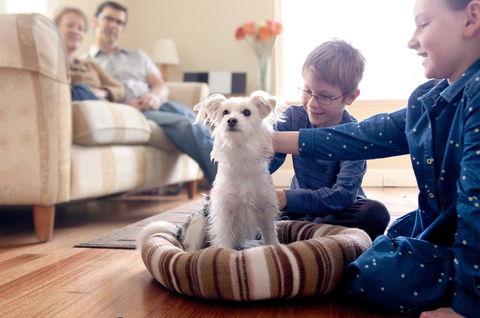 Boutique Stays Sandyside- Sandringham Villa Units - Accommodation Brisbane 6