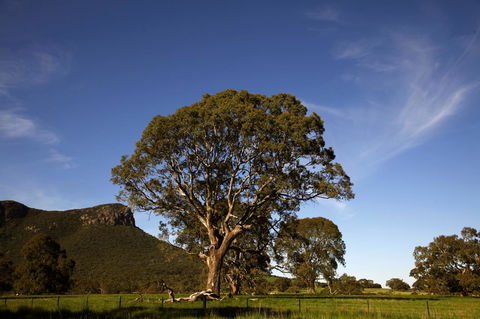 Dunkeld Studio Accommodation - Accommodation Brisbane 23