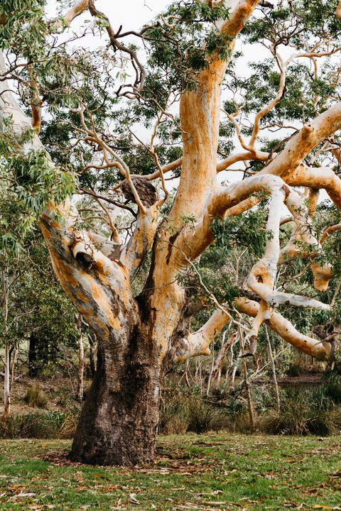 Dunkeld Studio Accommodation - Accommodation Brisbane 22