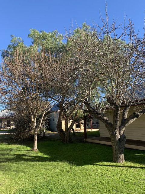 Dunkeld Studio Accommodation - Accommodation Brisbane 4