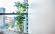 LittleStay Eporo - Central Apartments - thumb 14