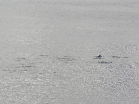 Clifftop Apartments Portland Vic - Accommodation Brisbane 14